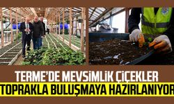 Terme’de mevsimlik çiçekler toprakla buluşmaya hazırlanıyor