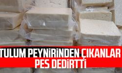 Tulum peynirinden çıkanlar pes dedirtti