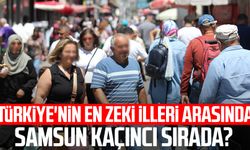 Türkiye'nin en zeki illeri arasında Samsun kaçıncı sırada?