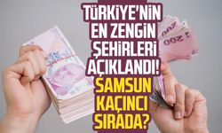 Türkiye'nin en zengin şehirleri açıklandı! Samsun kaçıncı sırada?