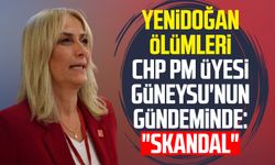 Yenidoğan ölümleri CHP PM Üyesi Nazan Güneysu'nun gündeminde: "Skandal"