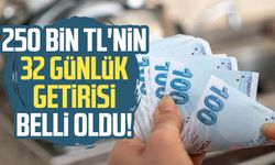 250 Bin TL'nin 32 günlük getirisi belli oldu!