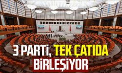 3 parti, tek çatıda birleşiyor