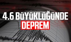 4.6 büyüklüğünde deprem