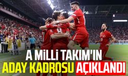 A Milli Takım'ın aday kadrosu açıklandı