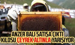 Anzer Balı satışa çıktı! Kilosu çeyrek altınla yarışıyor