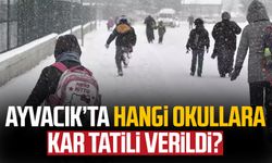 Ayvacık'ta hangi okullara kar tatili verildi?