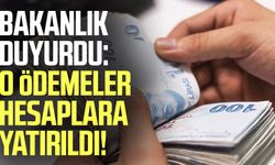 Bakanlık duyurdu: O ödemeler hesaplara yatırıldı!