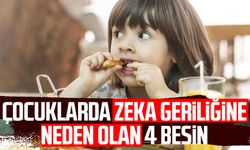 Çocuklarda zeka geriliğine neden olan 4 besin