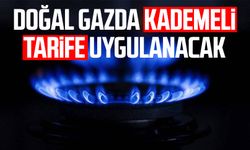 Doğal gazda kademeli tarife uygulanacak