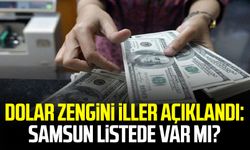 Dolar zengini iller açıklandı: Samsun listede var mı?