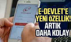 e-Devlet’e yeni özellik! Artık daha kolay