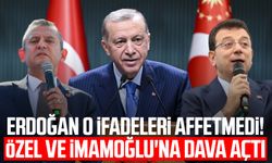 Erdoğan o ifadeleri affetmedi! Özel ve İmamoğlu'na dava açtı