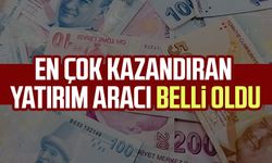 Ekim ayında en çok kazandıran yatırım aracı belli oldu