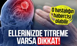 Ellerinizde titreme varsa dikkat! O hastalığın habercisi olabilir