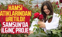 Hamsi atıklarından üretildi! Samsun'da ilginç proje