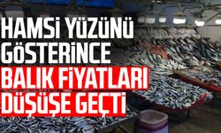 Hamsi yüzünü gösterince balık fiyatları düşüşe geçti