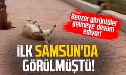 İlk Samsun'da görülmüştü! Benzer görüntüler gelmeye devam ediyor