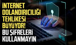 İnternet dolandırıcılığı tehlikesi büyüyor! Bu şifreleri kullanmayın