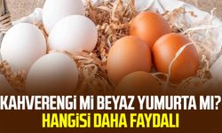 Kahverengi mi beyaz yumurta mı? Hangisi daha faydalı