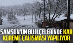 Samsun'un bu ilçelerinde kar küreme çalışması yapılıyor