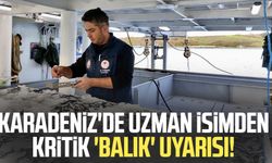 Karadeniz'de uzman isimden kritik 'balık' uyarısı!