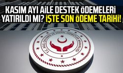 Kasım ayı aile destek ödemeleri yatırıldı mı? İşte son ödeme tarihi!