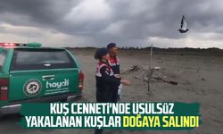 Kızılırmak Deltası Kuş Cenneti'nde usulsüz yakalanan kuşlar doğaya salındı