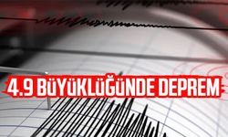 4.9 büyüklüğünde deprem