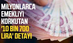 Milyonlarca emekliyi korkutan '10 bin 700 lira' detayı