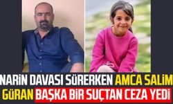 Narin davası sürerken amca Salim Güran başka bir suçtan ceza yedi