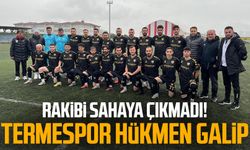 Rakibi sahaya çıkmadı! Termespor hükmen galip