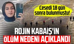 Cesedi 18 gün sonra bulunmuştu! Rojin Kabaiş'in ölüm nedeni açıklandı