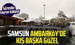 Samsun'da Ambarköy'de kış başka güzel