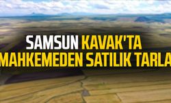 Samsun Kavak'ta mahkemeden satılık tarla