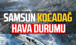 Samsun Kocadağ hava durumu