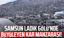 Samsun Ladik Gölü'nde büyüleyen kar manzarası