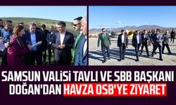 Samsun Valisi Orhan Tavlı ve SBB Başkanı Halit Doğan'dan Havza OSB'ye ziyaret