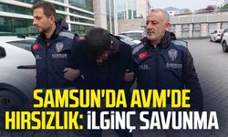 Samsun'da AVM'de hırsızlık: İlginç savunma