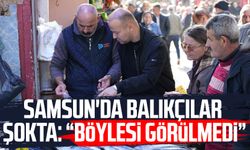 Samsun'da balıkçılar şokta: "Böylesi görülmedi"