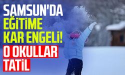 Samsun'da eğitime kar engeli! O okullar tatil