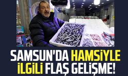 Samsun'da hamsiyle ilgili flaş gelişme! İşte fiyatı