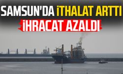 Samsun'da ithalat arttı, ihracat azaldı!