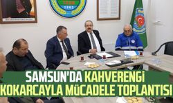 Samsun'da kahverengi kokarcayla mücadele toplantısı