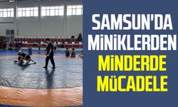 Samsun'da miniklerden minderde mücadele