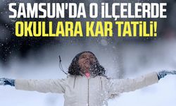 Samsun'da o ilçelerde okullara kar tatili