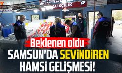 Samsun'da sevindiren hamsi gelişmesi! Beklenen oldu