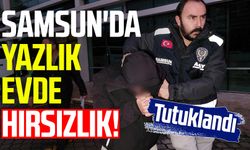 Samsun'da yazlık evde hırsızlık! Tutuklandı