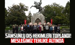 Samsunlu diş hekimleri toplandı! 'Mesleğimiz tehlike altında'