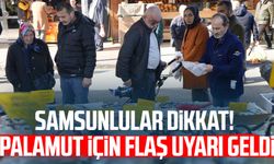 Samsunlular dikkat! Palamut için flaş uyarı geldi